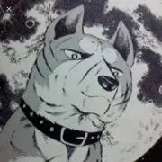 ちいさな守護神