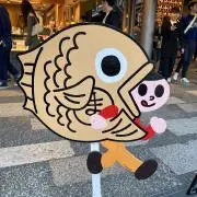 アッツの画像