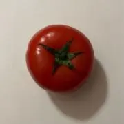 HTの画像