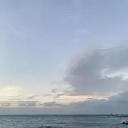 パープル