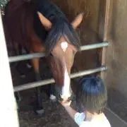 無声鈴鹿