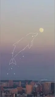 hiyokoの画像