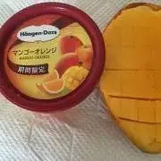 LYNCH SILVERSMITH LIMITED MOCCASIN BAG - メルカリ