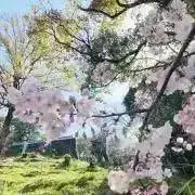 adcの画像