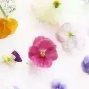 yuka♡の画像