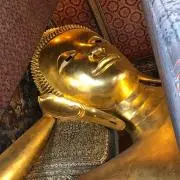 プク太郎の画像