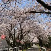 sugichan＊プロフ必読お願いしますの画像