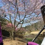 ぱるるん