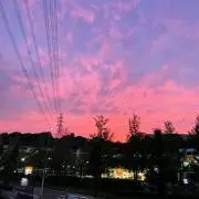べびの画像