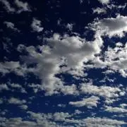 めちの画像