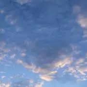 まおまおの画像