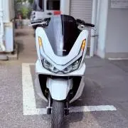 しろいしの画像