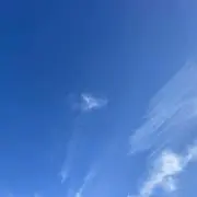 fasoraの画像