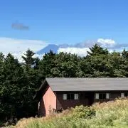 すずの画像