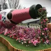 リップの画像