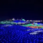 クローゼッツの画像