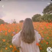 tobitobiの画像