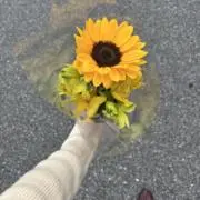 あめふりくまのこの画像