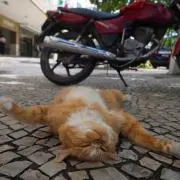ザワザワ