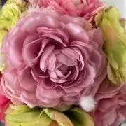 Luckyの画像