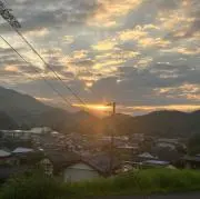 咲