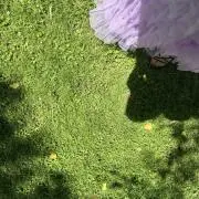 木葉