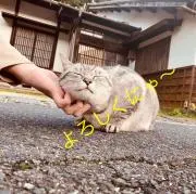 ♡のあ♡