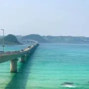 ハルハルの画像