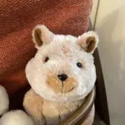 ふるふるの画像