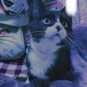むぎ