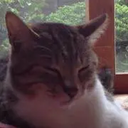 まろぎ