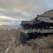 (๑╹ω╹๑ )の画像