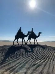 okkunの画像
