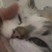 m_idj