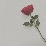ゆきだるま