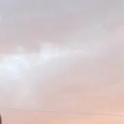 かふぇおれ