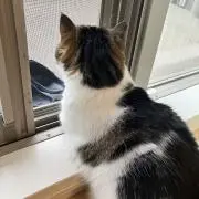 さーちゃんの画像