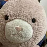 フリーザ様の画像
