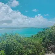 htmの画像