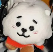 どんちゃんの画像