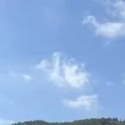Tの画像