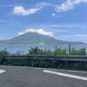ぽむの画像