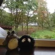 みー　まとめ買いは価格ご相談くださいの画像