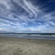 ちゃまめの画像