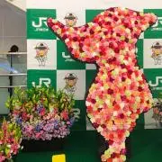 le_22の画像