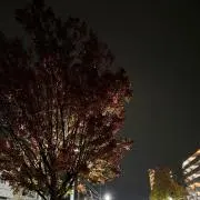 makiの画像
