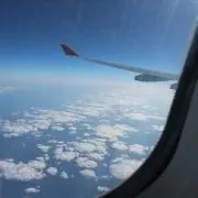 NAVYFANの画像