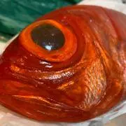 そとあそびの画像