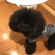 マチルダ