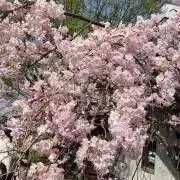 ちいこ⭐︎フォロー割実施中⭐︎の画像